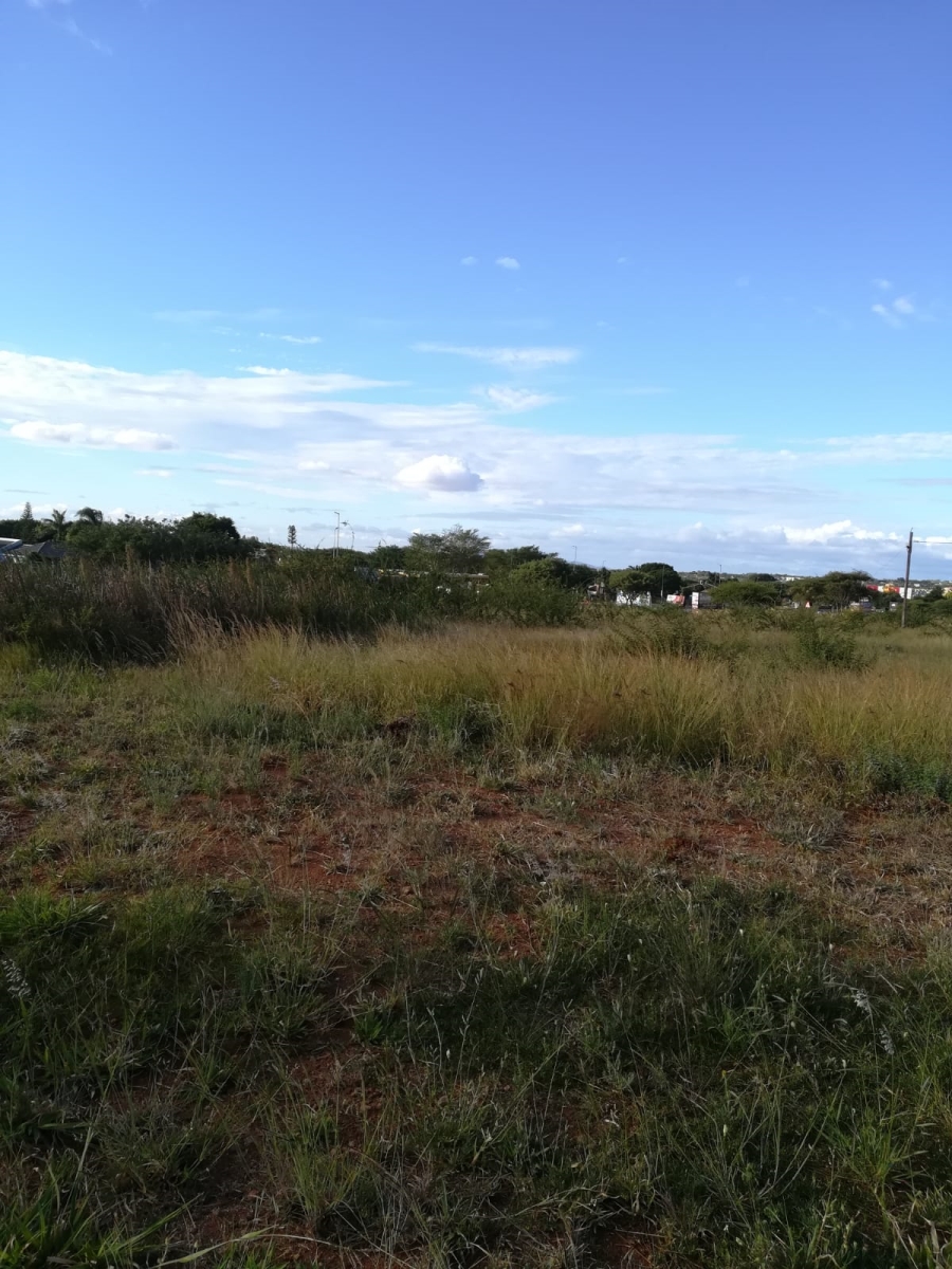 0 Bedroom Property for Sale in Sterpark Limpopo