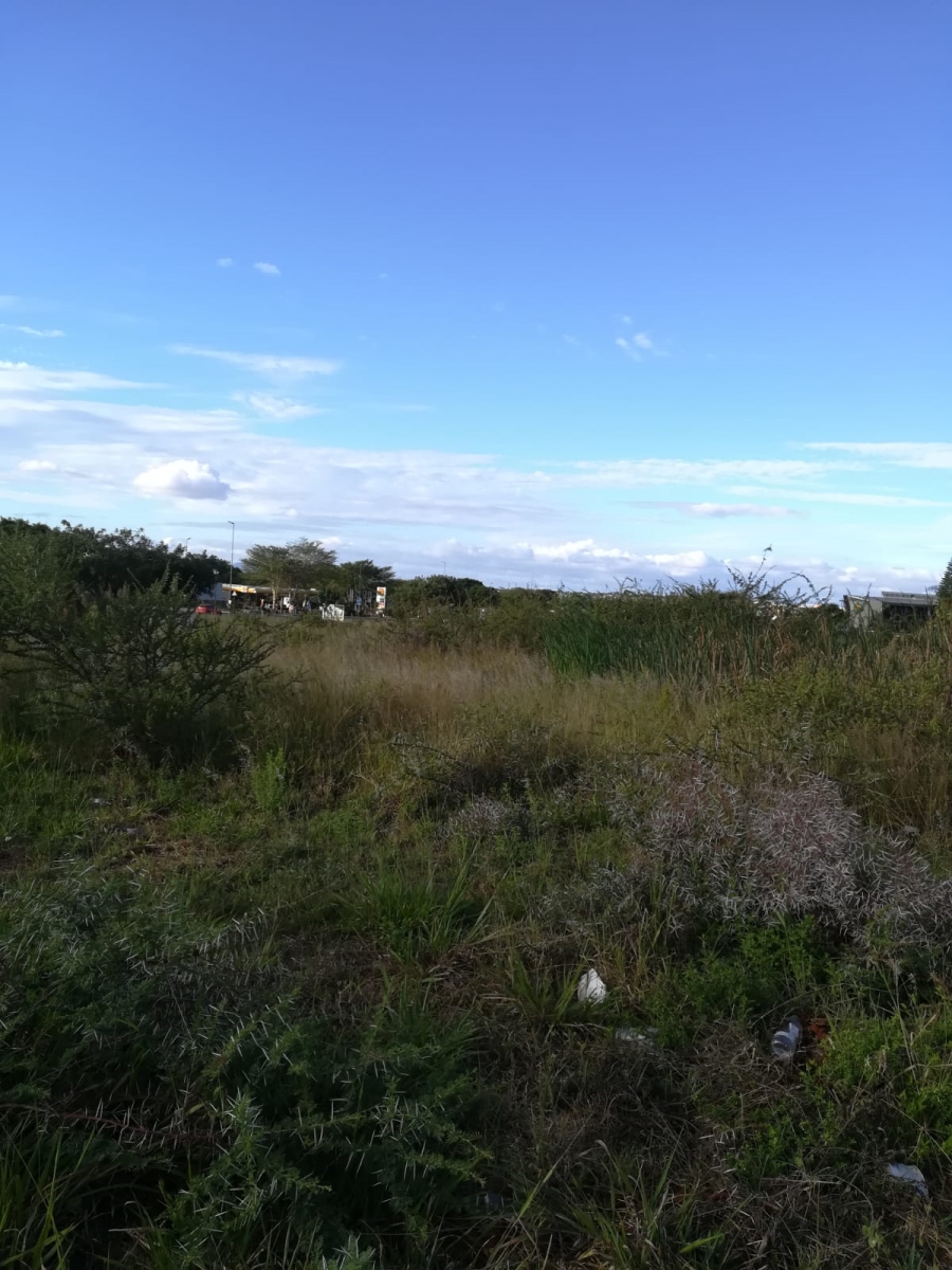 0 Bedroom Property for Sale in Sterpark Limpopo