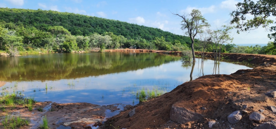 0 Bedroom Property for Sale in Welgevonden Game Reserve Limpopo