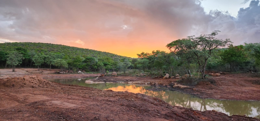 0 Bedroom Property for Sale in Welgevonden Game Reserve Limpopo