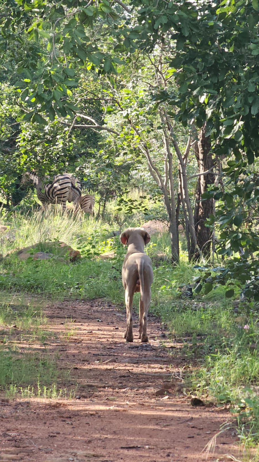 0 Bedroom Property for Sale in Welgevonden Game Reserve Limpopo