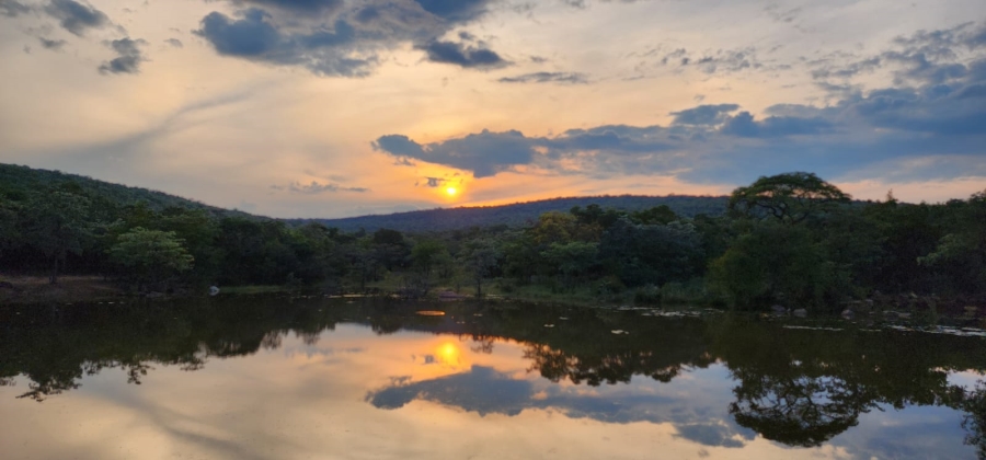 0 Bedroom Property for Sale in Welgevonden Game Reserve Limpopo