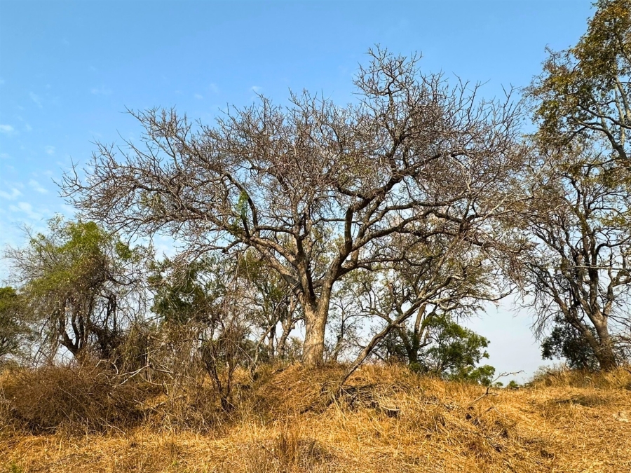 0 Bedroom Property for Sale in Moditlo Wildlife Estate Limpopo