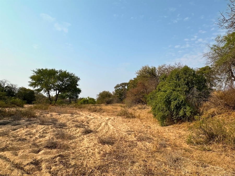 0 Bedroom Property for Sale in Moditlo Wildlife Estate Limpopo