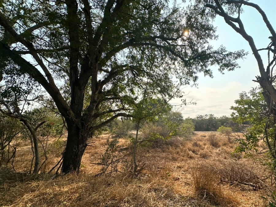 0 Bedroom Property for Sale in Moditlo Wildlife Estate Limpopo