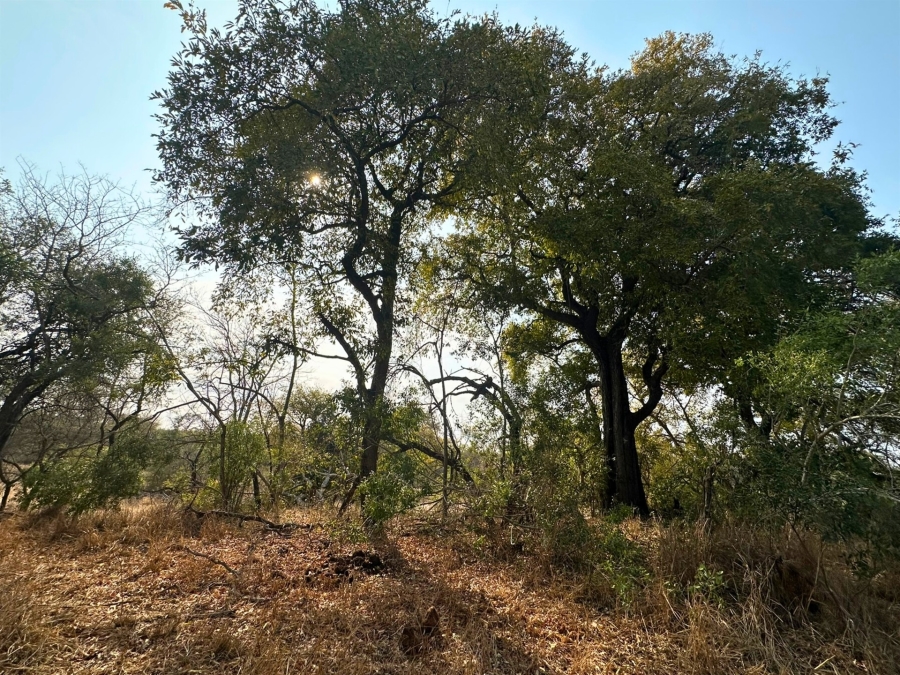 0 Bedroom Property for Sale in Moditlo Wildlife Estate Limpopo