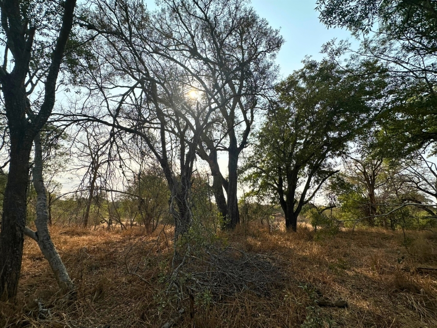 0 Bedroom Property for Sale in Moditlo Wildlife Estate Limpopo