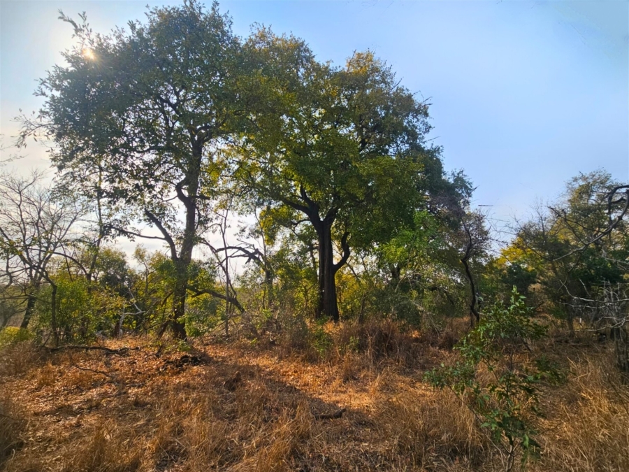 0 Bedroom Property for Sale in Moditlo Wildlife Estate Limpopo