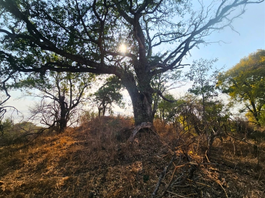 0 Bedroom Property for Sale in Moditlo Wildlife Estate Limpopo