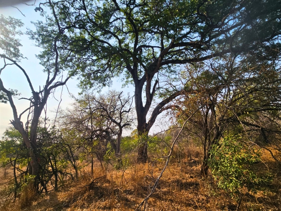 0 Bedroom Property for Sale in Moditlo Wildlife Estate Limpopo