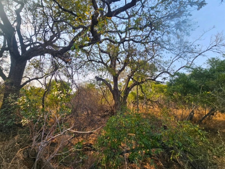 0 Bedroom Property for Sale in Moditlo Wildlife Estate Limpopo