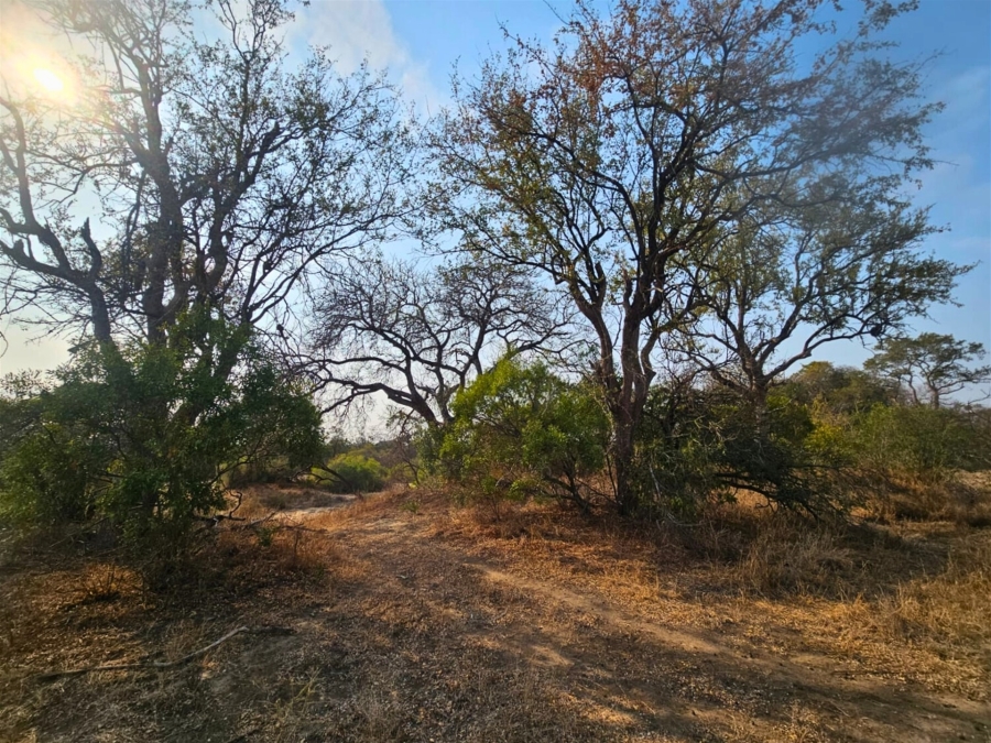 0 Bedroom Property for Sale in Moditlo Wildlife Estate Limpopo