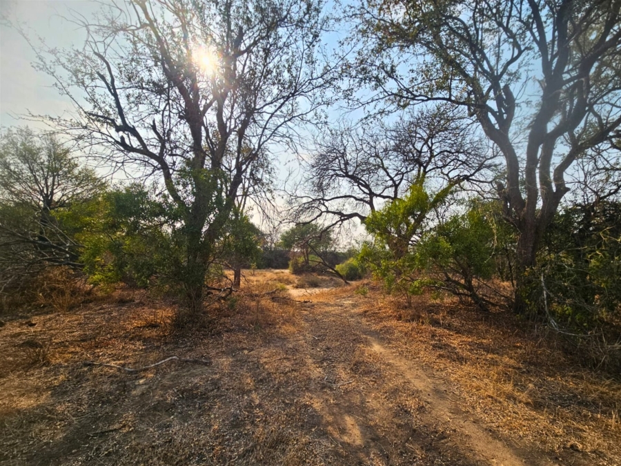 0 Bedroom Property for Sale in Moditlo Wildlife Estate Limpopo
