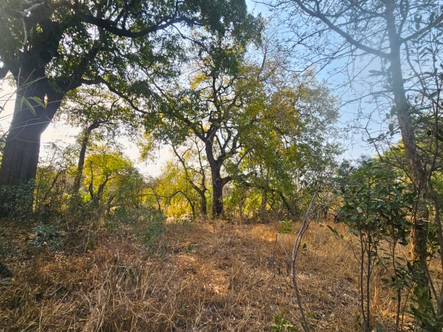 0 Bedroom Property for Sale in Moditlo Wildlife Estate Limpopo