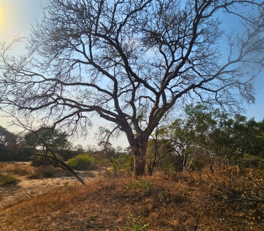 0 Bedroom Property for Sale in Moditlo Wildlife Estate Limpopo
