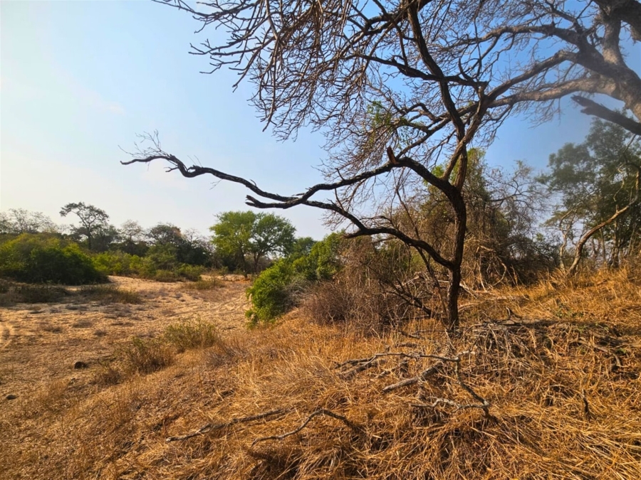 0 Bedroom Property for Sale in Moditlo Wildlife Estate Limpopo