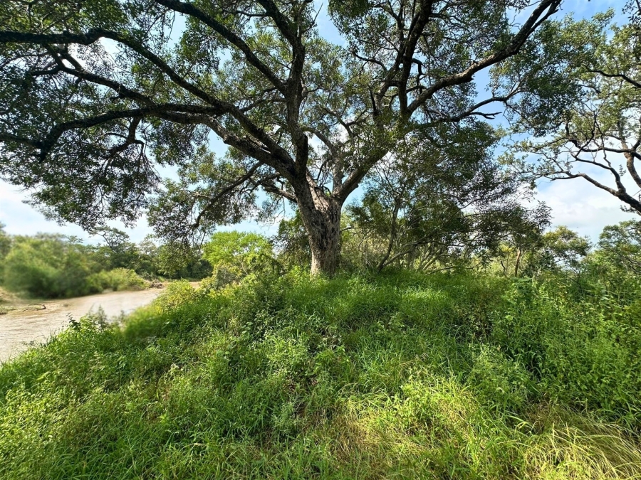 0 Bedroom Property for Sale in Moditlo Wildlife Estate Limpopo