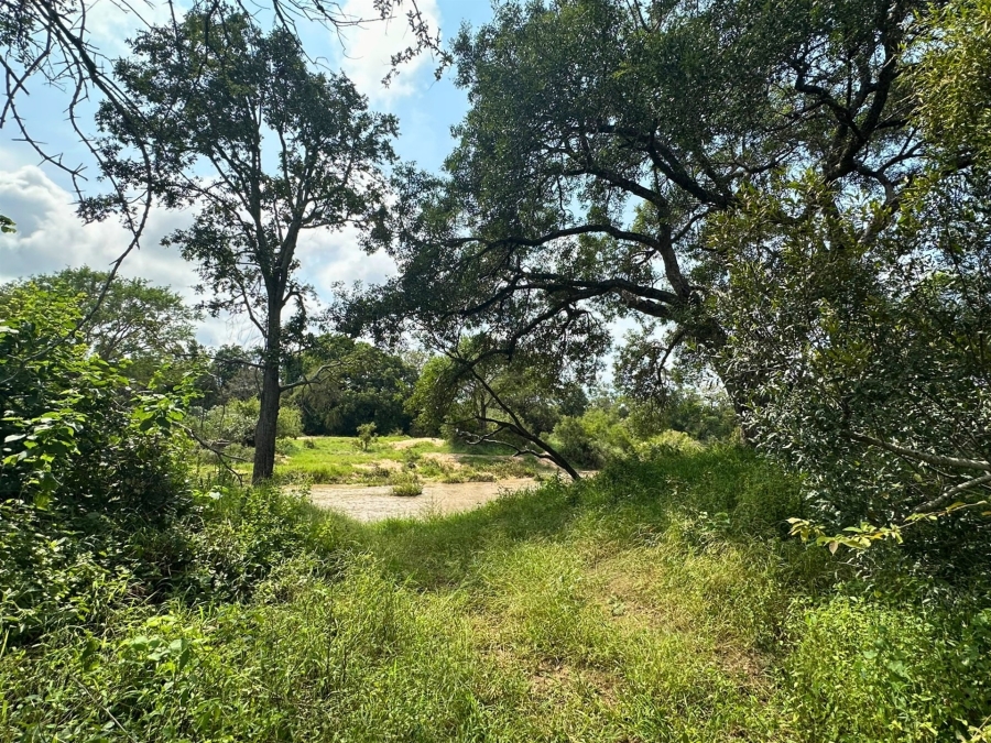 0 Bedroom Property for Sale in Moditlo Wildlife Estate Limpopo
