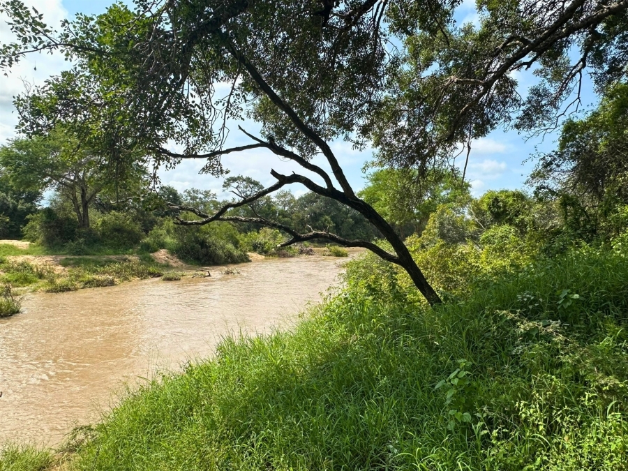 0 Bedroom Property for Sale in Moditlo Wildlife Estate Limpopo