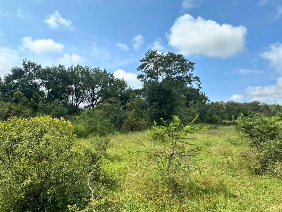 0 Bedroom Property for Sale in Moditlo Wildlife Estate Limpopo