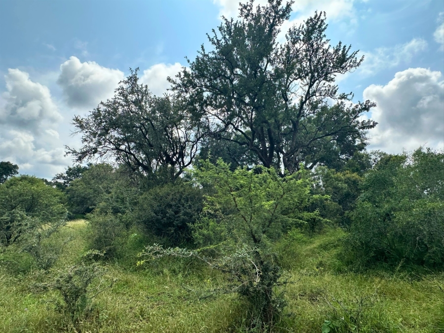 0 Bedroom Property for Sale in Moditlo Wildlife Estate Limpopo