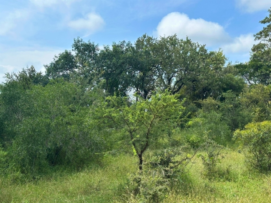 0 Bedroom Property for Sale in Moditlo Wildlife Estate Limpopo