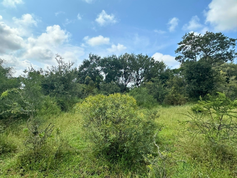 0 Bedroom Property for Sale in Moditlo Wildlife Estate Limpopo