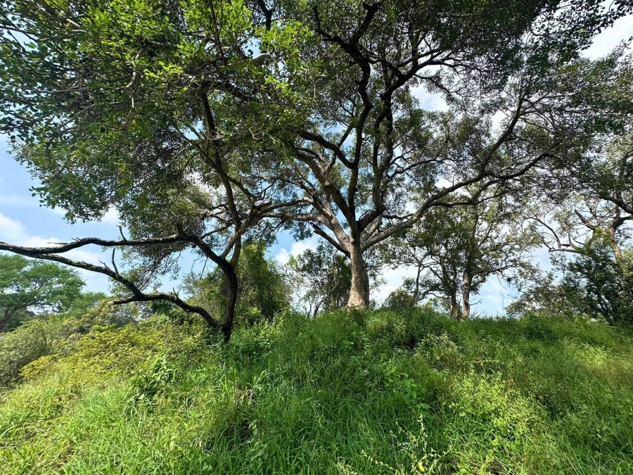0 Bedroom Property for Sale in Moditlo Wildlife Estate Limpopo