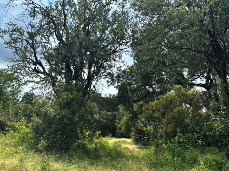 0 Bedroom Property for Sale in Moditlo Wildlife Estate Limpopo