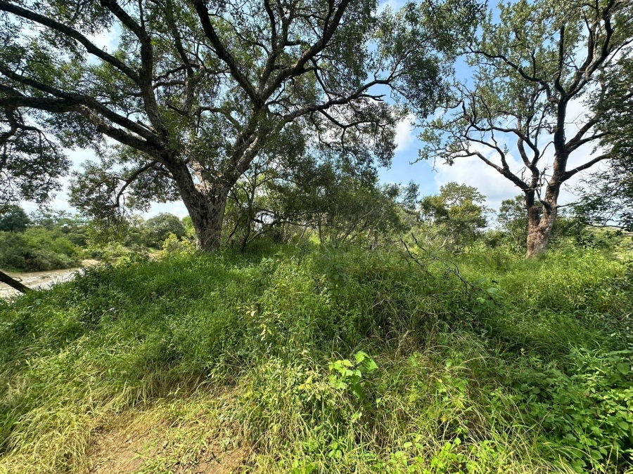 0 Bedroom Property for Sale in Moditlo Wildlife Estate Limpopo