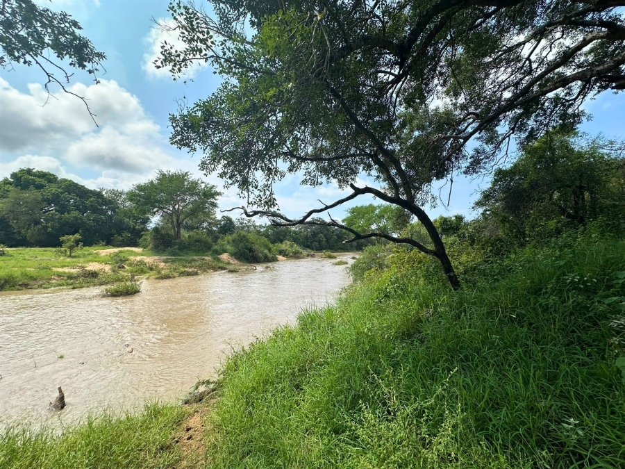 0 Bedroom Property for Sale in Moditlo Wildlife Estate Limpopo