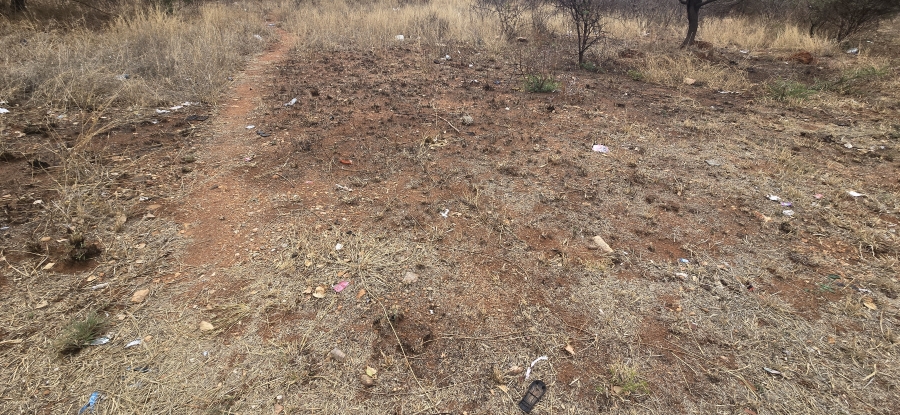 0 Bedroom Property for Sale in Bendor Limpopo