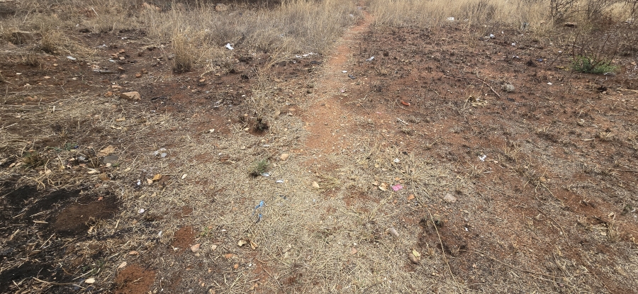 0 Bedroom Property for Sale in Bendor Limpopo