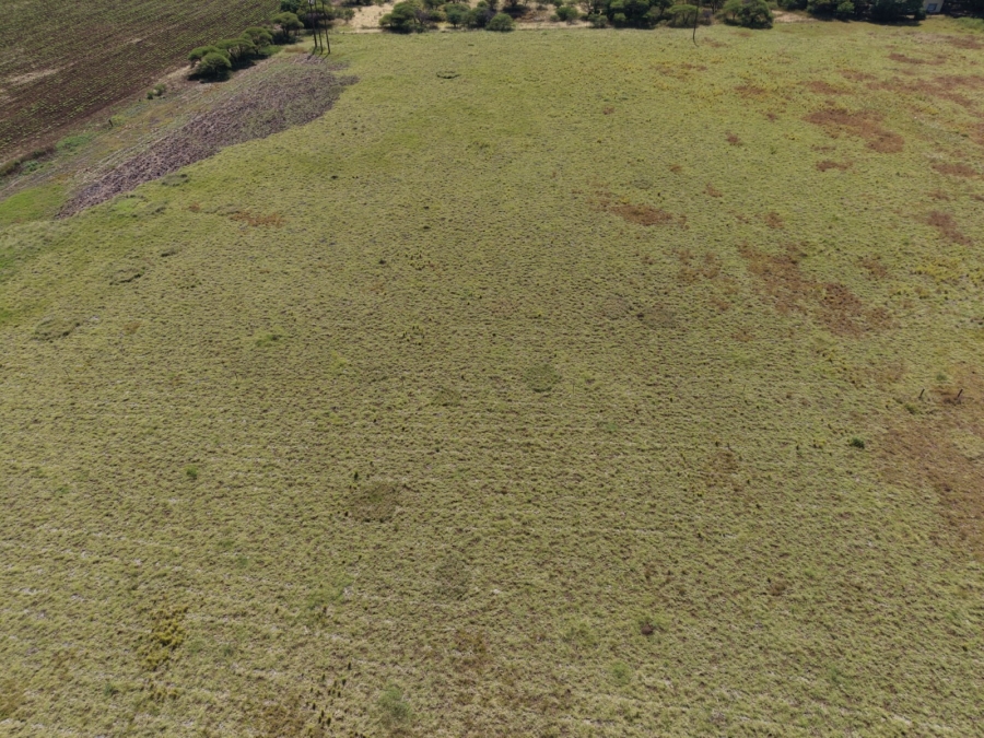 5 Bedroom Property for Sale in Bela Bela Limpopo