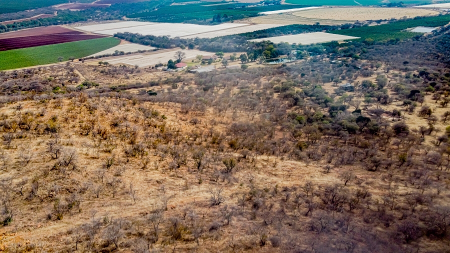 3 Bedroom Property for Sale in Groblersdal Limpopo