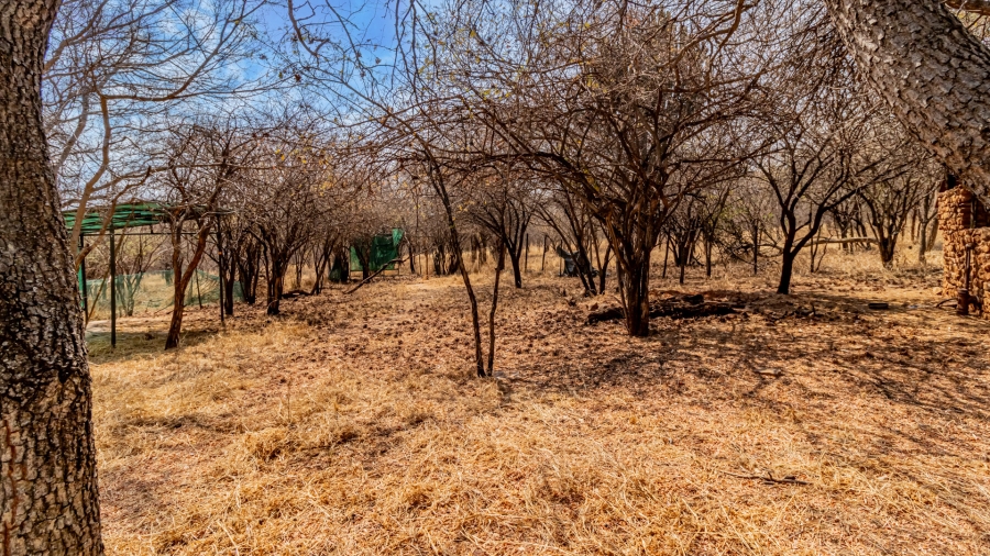 3 Bedroom Property for Sale in Groblersdal Limpopo