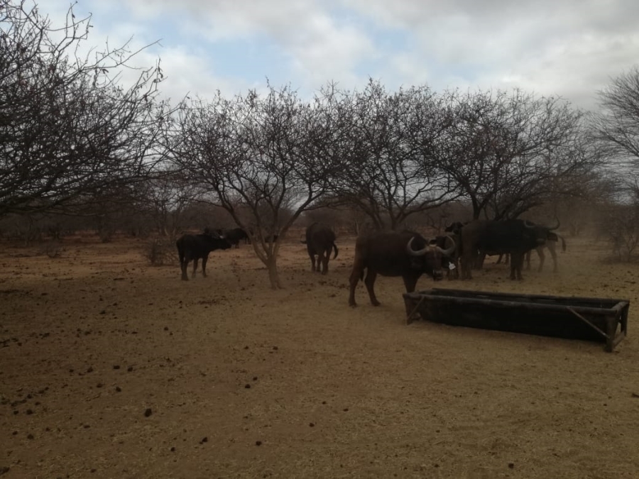 Commercial Property for Sale in Alldays Limpopo