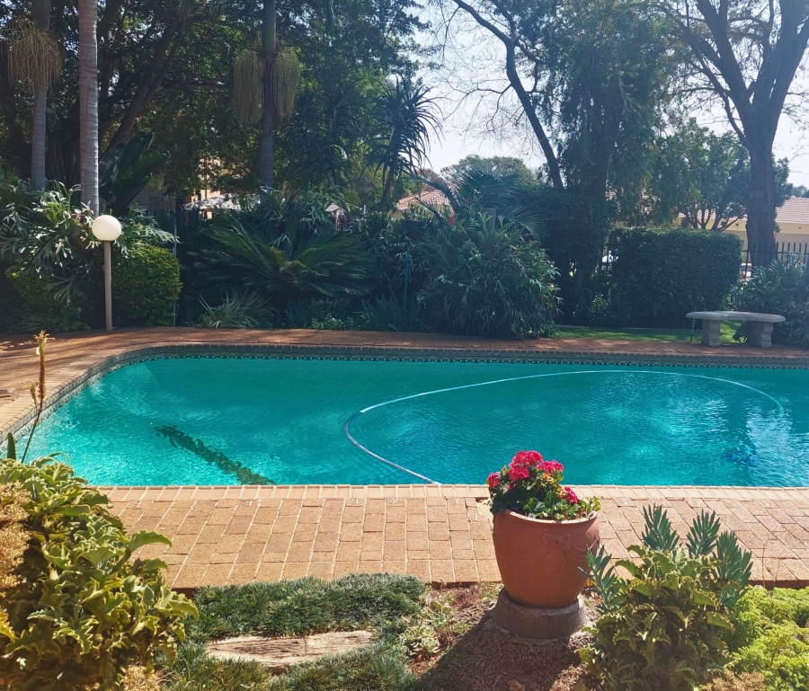 Commercial Property for Sale in Bendor Limpopo