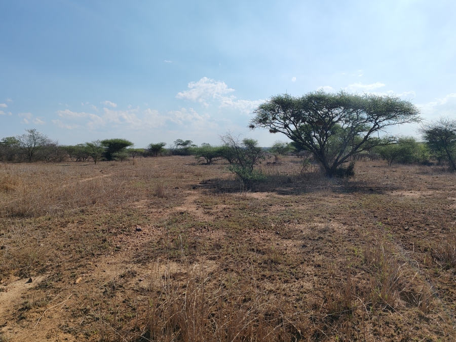 Commercial Property for Sale in Louis Trichardt Limpopo