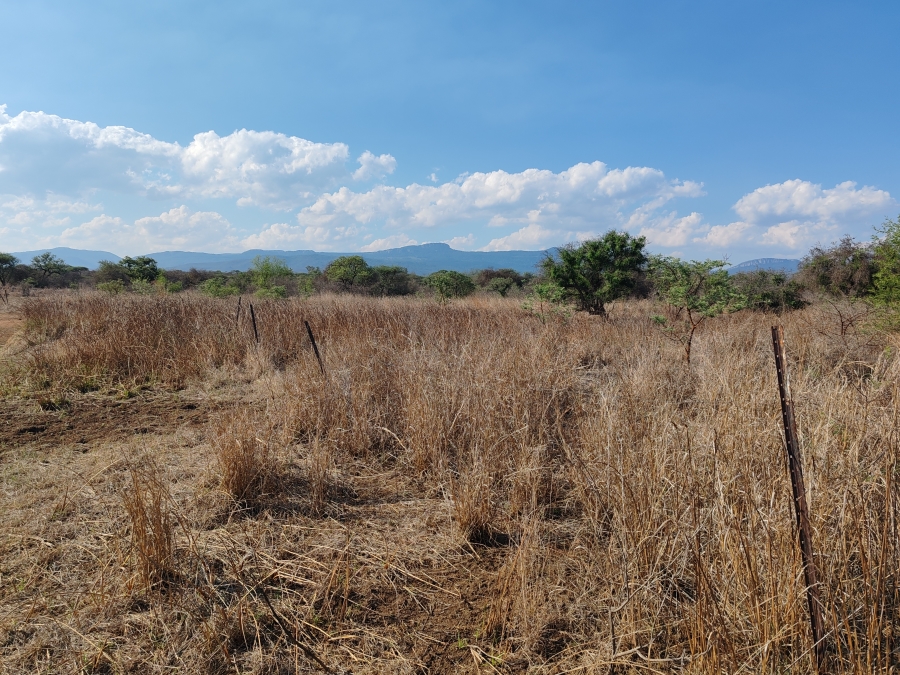 Commercial Property for Sale in Louis Trichardt Limpopo