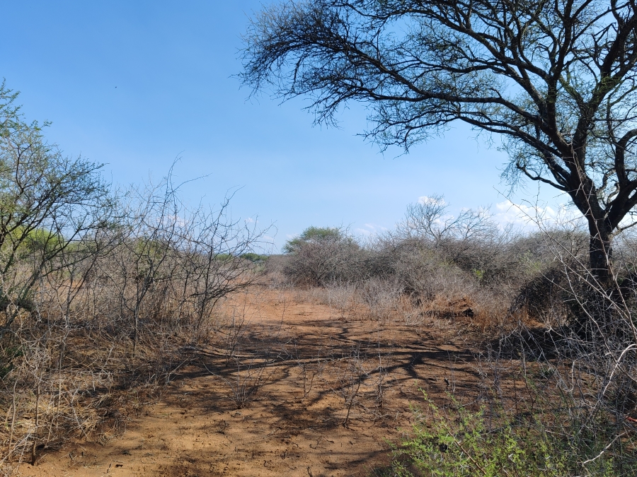 Commercial Property for Sale in Louis Trichardt Limpopo
