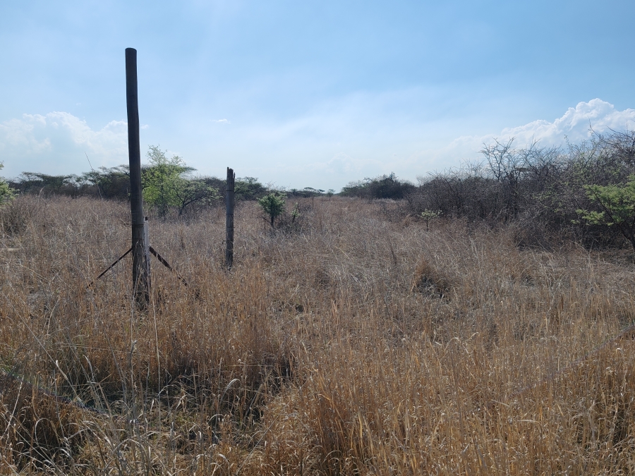 Commercial Property for Sale in Louis Trichardt Limpopo