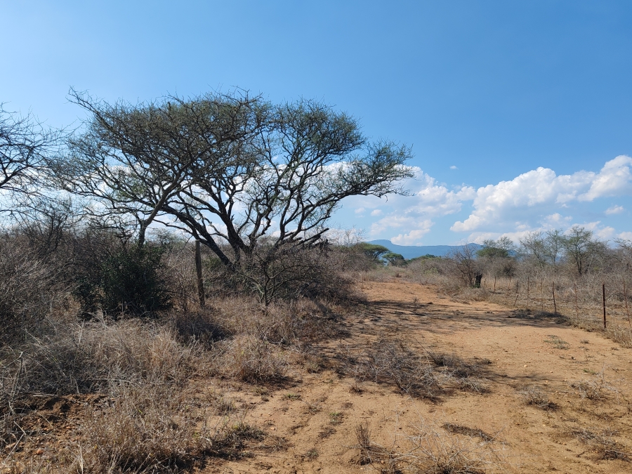 Commercial Property for Sale in Louis Trichardt Limpopo