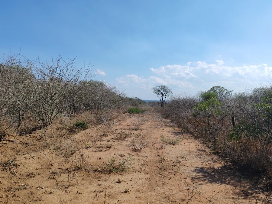 Commercial Property for Sale in Louis Trichardt Limpopo