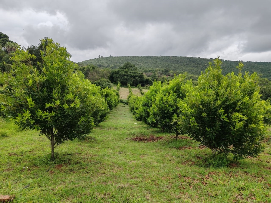 Commercial Property for Sale in Louis Trichardt Limpopo