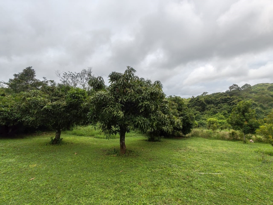 Commercial Property for Sale in Louis Trichardt Limpopo