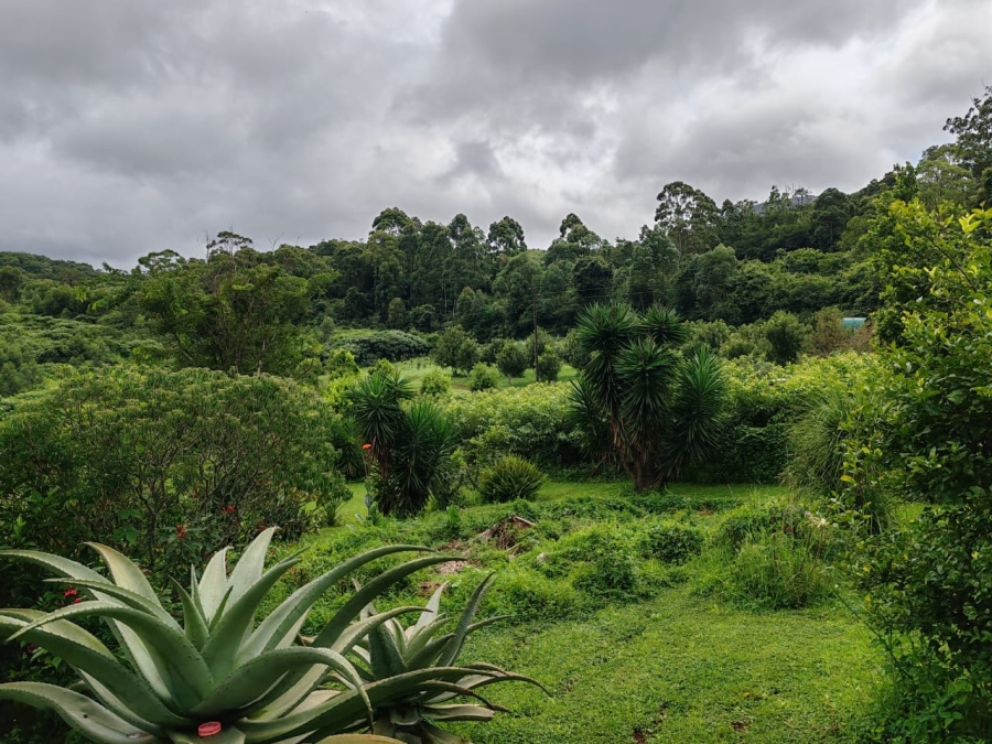 Commercial Property for Sale in Louis Trichardt Limpopo
