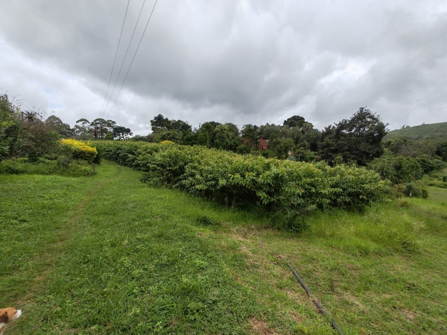 Commercial Property for Sale in Louis Trichardt Limpopo