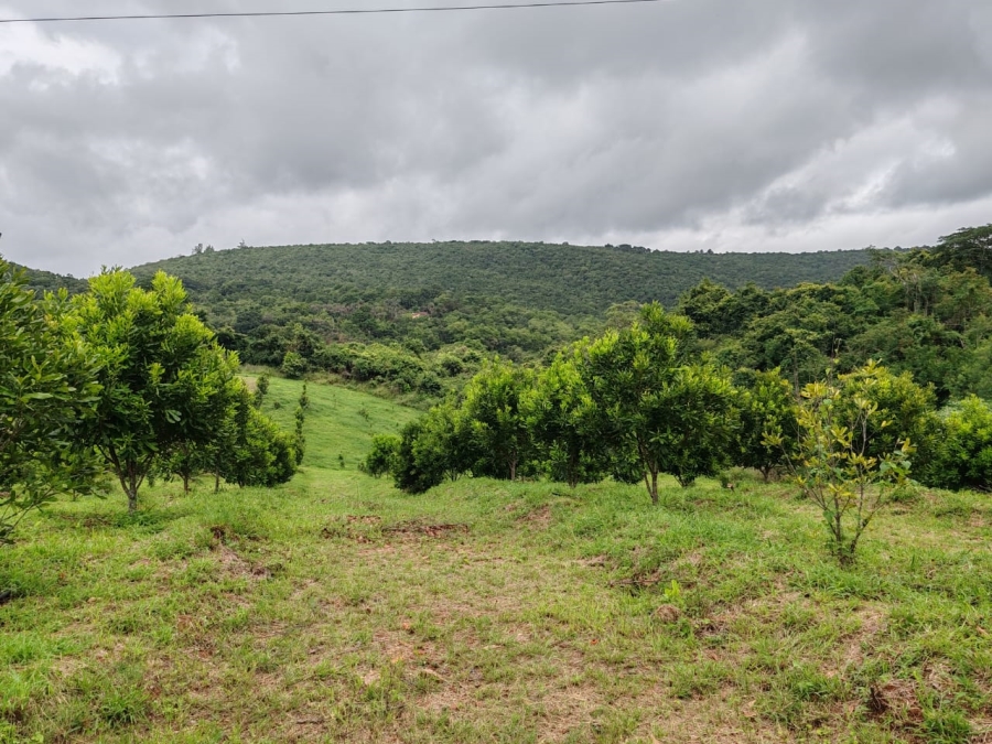 Commercial Property for Sale in Louis Trichardt Limpopo