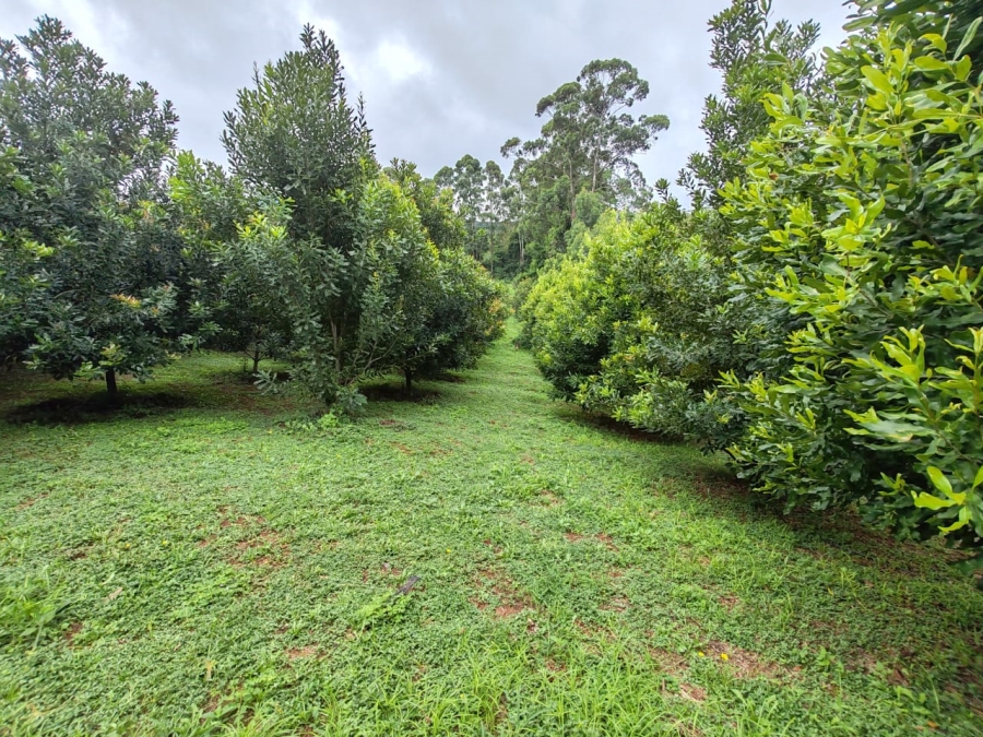 Commercial Property for Sale in Louis Trichardt Limpopo